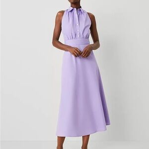 Ann Taylor Lavender Midi Dress